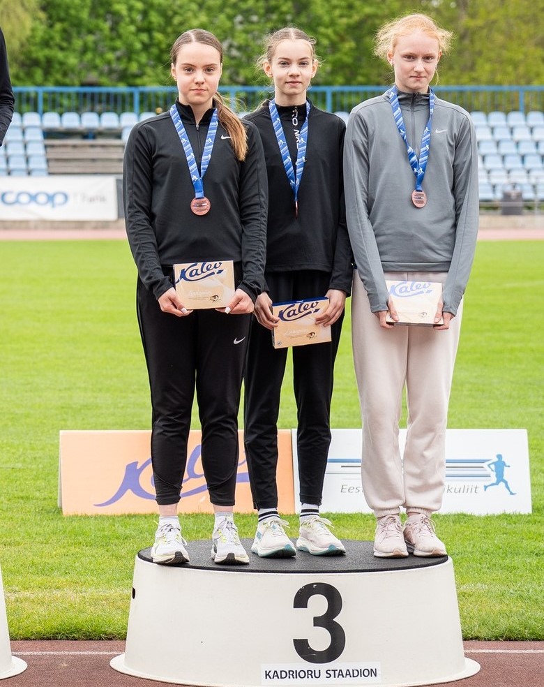 A. TATARINTSEVA, E. KOPANEVA, M. HEINMAA