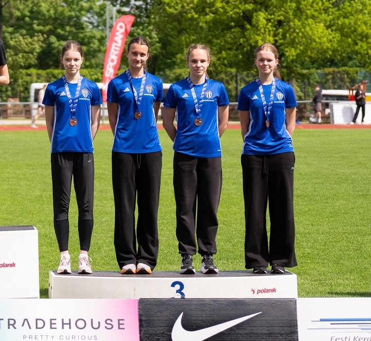 V. VOLŽINSKI, A. NESMEEVA, A. TSATSURINA, L. KUBO